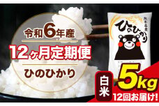 令和6年産 【12ヶ月定期便】 ひのひかり 白米 5kg 5kg×1袋 計12回お届け 熊本県産 こめ コメ 白米 精米 荒尾市 ひの 米 定期 《お申込み月の翌月から出荷開始》