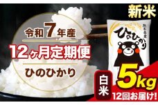 新米 令和7年産 【12ヶ月定期便】 ひのひかり 白米 5kg 5kg×1袋 計12回お届け 熊本県産 こめ コメ 白米 精米 荒尾市 ひの 米 定期 《お申込み月の翌月から出荷開始》