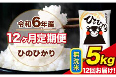 令和6年産 【12ヶ月定期便】 ひのひかり 無洗米 5kg 5kg×1袋 計12回お届け 熊本県産 こめ コメ 無洗米 精米 荒尾市 ひの 米 定期 《お申込み月の翌月から出荷開始》