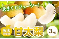 【2025年先行予約】梨 甘太梨 約3kg 藤末果樹園 《2025年 9月中旬-9月下旬頃出荷》 熊本県 荒尾市 梨 なし 果物 フルーツ デザート かんたなし 送料無料 st-p