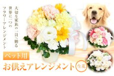 花 椿原園 ペット用 お供え アレンジメント 1個 フラワーアレンジメント 《30日以内に出荷予定(土日祝除く)》 熊本県 荒尾市 生花 お供え 花 お供え用 犬用 猫用 犬 猫 ペット