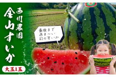 金山すいか 大玉 1玉 西川農園《4月下旬-5月中旬頃出荷》熊本県 荒尾市 スイカ すいか 西瓜 フルーツ 果物 大玉すいか 幻のすいか 1番すいか st-p