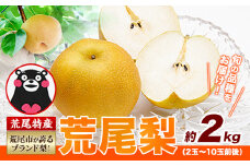 【 2025年 先行予約 】 梨 荒尾梨 和梨 約2kg なし フルーツ 果物 新鮮《2025年8月下旬‐11月中旬頃出荷》訳あり 熊本県 荒尾市産 デザート 旬の梨 幸水 豊水 あきづき 他4種 合計7種のいずれかをお届け（品種指定はできません） あたご梨