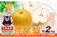 【 2025年 先行予約 】 梨 荒尾梨 和梨 約2kg なし フルーツ 果物 新鮮《2025年8月下旬‐11月中旬頃出荷》熊本県 荒尾市産 デザート 旬の梨 幸水 豊水 あきづき 他4種 合計8種のいずれかをお届け（品種指定はできません） あたご梨