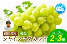 【優品】先行予約 シャインマスカット 鶴田農園 約1.3kg (2～3房) 熊本県荒尾市産《8月下旬-9月下旬頃出荷》熊本県 荒尾市 フルーツ 果物 送料無料 葡萄 ぶどう マスカット