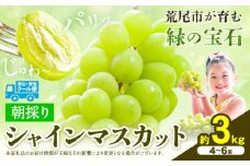 【先行予約】 マスカット シャインマスカット 朝採り シャインマスカット 約3kg 4～6房 前田果樹園《8月下旬-9月末頃出荷》熊本県 荒尾市 旬 果物 フルーツ デザート ふるーつ ますかっと しゃいんますかっと