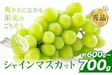 シャインマスカット 秀品 約600g-700g(1～2房) 日本フルーツ《6月下旬-8月末頃出荷》熊本県 荒尾市 ぶどう ブドウ 果物 フルーツ スイーツ デザート ギフト ご贈答