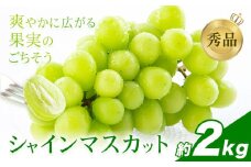 シャインマスカット 秀品 約2㎏（3～7房） 日本フルーツ《6月下旬-8月末頃出荷》熊本県 荒尾市 ぶどう ブドウ 果物 フルーツ スイーツ デザート ギフト ご贈答