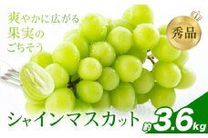 シャインマスカット 秀品 約3.6㎏（4～10房） 日本フルーツ《6月下旬-8月末頃出荷》熊本県 荒尾市 ぶどう ブドウ 果物 フルーツ スイーツ デザート ギフト ご贈答