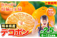 先行予約 デコポン 2.5kg 訳あり デコポン ご家庭用デコポン 約 2.5kg 前後(約6-12玉前後) 糖度13度以上 個別光センサー選果 みかん  柑橘 フルーツ 旬 不知火 でこぽん《2026年2月上旬-4月末頃出荷》生産量日本一熊本県産(荒尾市産含む) 柑橘 フルーツ 旬 不知火 でこぽん