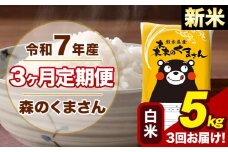 【3ヶ月定期便】令和7年産 新米 森のくまさん 白米 5kg 5kg×1袋 計3回お届け《お申し込み月の翌月から出荷開始》お米 こめ 熊本県産 ご飯 備蓄