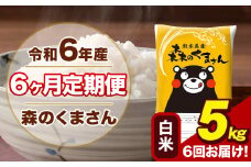 令和6年産 森のくまさん 白米 5kg 5kg×1袋 計6回お届け 《お申し込み月の翌月から出荷開始》 お米 こめ 熊本県産 ご飯 備蓄