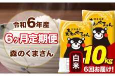 令和6年産 森のくまさん 白米 10kg 5kg×2袋 計6回お届け 《お申し込み月の翌月から出荷開始》 お米 こめ 熊本県産 ご飯 備蓄