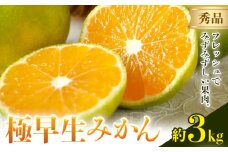 みかん 極早生みかん 秀品 3kg 日本フルーツ株式会社《2025年9月上旬-10月末頃出荷》熊本県 荒尾市 早生みかん 果物 フルーツ スイーツ デザート ギフト ご贈答