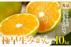 みかん 極早生みかん 秀品 10kg 日本フルーツ株式会社《2025年9月上旬-10月末頃出荷》熊本県 荒尾市 早生みかん 果物 フルーツ スイーツ デザート ギフト ご贈答