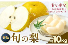 おまかせ梨 秀品 約10kg 日本フルーツ株式会社《8月上旬-10月末頃出荷》熊本県 荒尾市 なし 梨 果物 フルーツ デザート ギフト ご贈答