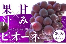 ピオーネ 300g×4パック 約1.2kg パックのみ 日本フルーツ株式会社《2025年7月上旬-8月末出荷》熊本県 荒尾市 ぶどう ピオーネ 果物 フルーツ スイーツ デザート ギフト ご贈答