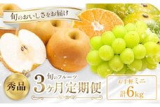 旬の フルーツ 定期便 3ヶ月連続 秀品 ミニ 計6㎏  日本フルーツ株式会社《2025年8月上旬-10月末頃出荷》熊本県 荒尾市 シャインマスカット おまかせ 梨 早生みかん 果物 フルーツ スイーツ デザート ギフト ご贈答
