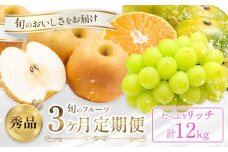 旬の フルーツ 定期便 3ヶ月連続 秀品 リッチ 計12㎏  日本フルーツ株式会社《2025年8月上旬-10月末頃出荷》熊本県 荒尾市 シャインマスカット おまかせ 梨 早生みかん 果物 フルーツ スイーツ デザート ギフト ご贈答