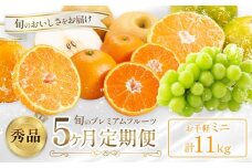 プレミアム フルーツ 定期便 5ヶ月連続 秀品 ミニ 計11kg  日本フルーツ株式会社《2025年8月上旬-12月末出荷》熊本県 荒尾市 シャインマスカット おまかせ 梨 早生みかん 温州みかん 不知火 果物 フルーツ スイーツ デザート ギフト ご贈答