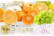 プレミアム フルーツ 定期便 5ヶ月連続 秀品 リッチ 計20kg  日本フルーツ株式会社《2025年8月上旬-12月末出荷》熊本県 荒尾市 シャインマスカット おまかせ 梨 早生みかん 温州みかん 不知火 果物 フルーツ スイーツ デザート ギフト ご贈答