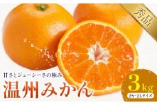 温州みかん 約3kg 日本フルーツ株式会社 熊本県 荒尾市 《11月上旬-12月上旬頃出荷》 デコポン 果物 秀品 フルーツ スイーツ デザート ギフト ご贈答
