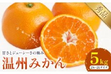 温州みかん 約5kg 日本フルーツ株式会社 熊本県 荒尾市 《11月上旬-12月上旬頃出荷》 デコポン 果物 秀品 フルーツ スイーツ デザート ギフト ご贈答
