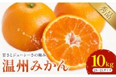 温州みかん 約10kg 日本フルーツ株式会社 熊本県 荒尾市 《11月上旬-12月上旬頃出荷》 デコポン 果物 秀品 フルーツ スイーツ デザート ギフト ご贈答