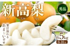 新高梨  約5kg (6～16玉) 日本フルーツ株式会社 《2025年9月上旬-10月末出荷》熊本県 荒尾市 新高梨 梨 果物 フルーツ スイーツ デザート ギフト ご贈答