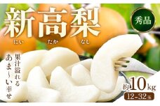 新高梨  約10kg (12～32玉) 日本フルーツ株式会社 《2025年9月上旬-10月末出荷》熊本県 荒尾市 新高梨 梨 果物 フルーツ スイーツ デザート ギフト ご贈答