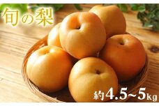 梨 先行予約 旬の梨 和梨（幸水 豊水 あきづき 甘太 新興 晩三吉 ）約 4.5kg - 5kg フルーツ 果物 梨 荒尾市産 フレッシュフーズ 《7月中旬-11月中旬頃出荷》なし 果物 新鮮 【日付指定不可】 
