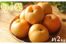 梨 予約 旬の梨（幸水梨 豊水梨 あきづき 甘太 新興梨 晩三吉梨 のいずれか）約 2kg （2-6玉）なし フルーツ 果物 新鮮 クール便 熊本県 荒尾市産 フレッシュフーズ 《7月中旬-11月中旬頃出荷》 