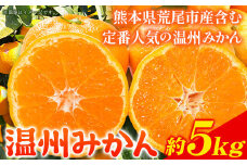 みかん 温州みかん 約 5kg 柑橘 フルーツ ミカン 蜜柑 《11月上旬-12月上旬頃出荷》熊本県 荒尾市産含む 熊本県 荒尾市 フレッシュフーズ 