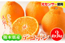 デコポン 約3kg フレッシュフーズ 《3月上旬-4月中旬頃出荷》熊本県産(荒尾市産含む) 柑橘 フルーツ フレッシュフーズ みかん 不知火と同品種 果物