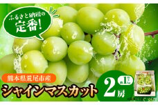 【先行予約】 シャインマスカット  約 1kg (2房）フレッシュフーズ 《8月上旬-9月上旬頃出荷》熊本県産(荒尾市産) 柑橘 フルーツ フレッシュフーズ シャインマスカット 果物