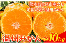 みかん 温州みかん 約 10kg 熊本県 荒尾市産含む 《11月上旬-12月上旬頃出荷》送料無料 熊本県 荒尾市 フレッシュフーズ 柑橘 フルーツ ミカン 蜜柑 果物