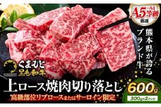  牛肉 A4～A5等級 黒毛和牛 切り落とし くまもと黒毛和牛 上 ロース 焼肉 600g 《7-14日以内に出荷予定(土日祝除く)》熊本県 荒尾市 上ロース 焼肉用 黒毛和牛 ステーキ 焼肉 肉 お肉 和牛 A5 A4 300g 小分け リブロース サーロイン