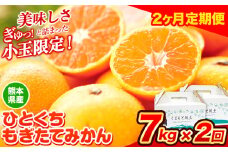 訳あり みかん ひとくちもぎたてみかん 約 7kg (3.5kg×2箱) 2ヶ月定期便 S-3Sサイズ 訳あり S SS 3S ご家庭用 14kg 熊本県産 （荒尾市産含む） 小玉みかん 訳ありみかん ご家庭用みかん フルーツみかん 熊本みかん ちょっと訳あり 期間限定 フルーツ 秋 旬 柑橘 小玉 みかん 温州みかん《10月・11月出荷》 