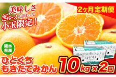 訳あり みかん ひとくちもぎたてみかん 約10kg (10kg×1箱) 2ヶ月定期便 S-3Sサイズ 訳あり S SS 3S ご家庭用 20kg 熊本県産 （荒尾市産含む） 小玉みかん 訳ありみかん ご家庭用みかん フルーツみかん 熊本みかん ちょっと訳あり 期間限定 フルーツ 秋 旬 柑橘 小玉 みかん 温州みかん《10月・11月出荷》 