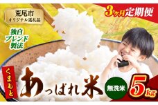 【3ヶ月定期便】熊本県産 くまもとあっぱれ米 ブレンド米 5kg 熊本県産 ふるさと納税 無洗米 精米 米 こめ ふるさとのうぜい コメ お米 おこめ《11月から出荷開始》