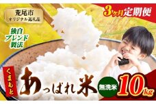 【3ヶ月定期便】熊本県産 くまもとあっぱれ米 ブレンド米 10kg 熊本県産 ふるさと納税 無洗米 精米 米 こめ ふるさとのうぜい コメ お米 おこめ《11月から出荷開始》