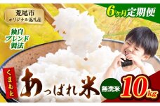 【6ヶ月定期便】熊本県産 くまもとあっぱれ米 ブレンド米 10kg 熊本県産 ふるさと納税 無洗米 精米 米 こめ ふるさとのうぜい コメ お米 おこめ《11月から出荷開始》