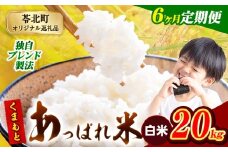 【6ヶ月定期便】熊本県産 くまもとあっぱれ米 ブレンド米 20kg 熊本県産 ふるさと納税 白米 精米 米 こめ ふるさとのうぜい コメ お米 おこめ《お申込み月の翌月から発送予定》