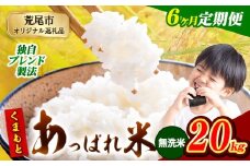 【6ヶ月定期便】熊本県産 くまもとあっぱれ米 ブレンド米 20kg 熊本県産 ふるさと納税 無洗米 精米 米 こめ ふるさとのうぜい コメ お米 おこめ《お申込み月の翌月から発送予定》