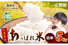【12ヶ月定期便】熊本県産 くまもとあっぱれ米 ブレンド米 5kg 熊本県産 ふるさと納税 白米 精米 米 こめ ふるさとのうぜい コメ お米 おこめ《お申込み月の翌月から発送予定》