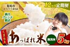 【12ヶ月定期便】熊本県産 くまもとあっぱれ米 ブレンド米 5kg 熊本県産 ふるさと納税 無洗米 精米 米 こめ ふるさとのうぜい コメ お米 おこめ《11月から出荷開始》
