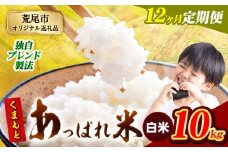 【12ヶ月定期便】熊本県産 くまもとあっぱれ米 ブレンド米 10kg 熊本県産 ふるさと納税 白米 精米 米 こめ ふるさとのうぜい コメ お米 おこめ《お申込み月の翌月から発送予定》