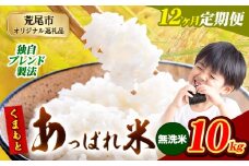 【12ヶ月定期便】熊本県産 くまもとあっぱれ米 ブレンド米 10kg 熊本県産 ふるさと納税 無洗米 精米 米 こめ ふるさとのうぜい コメ お米 おこめ《11月から出荷開始》