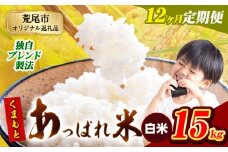 【12ヶ月定期便】熊本県産 くまもとあっぱれ米 ブレンド米 15kg 熊本県産 ふるさと納税 白米 精米 米 こめ ふるさとのうぜい コメ お米 おこめ《お申込み月の翌月から発送予定》