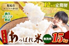 【12ヶ月定期便】熊本県産 くまもとあっぱれ米 ブレンド米 15kg 熊本県産 ふるさと納税 無洗米 精米 米 こめ ふるさとのうぜい コメ お米 おこめ《お申込み月の翌月から発送予定》